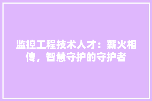 监控工程技术人才：薪火相传，智慧守护的守护者