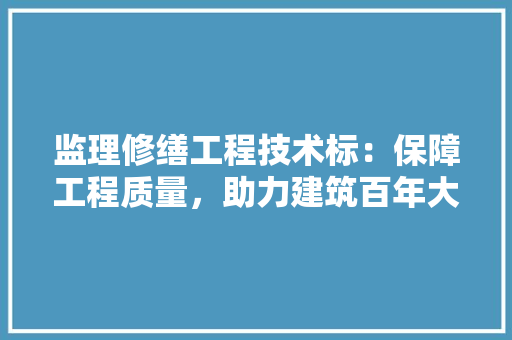 监理修缮工程技术标：保障工程质量，助力建筑百年大计 室内设计
