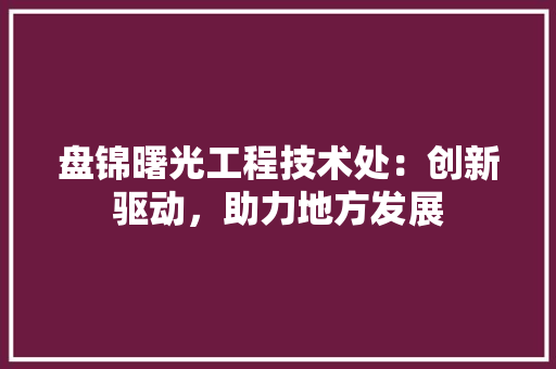 盘锦曙光工程技术处：创新驱动，助力地方发展