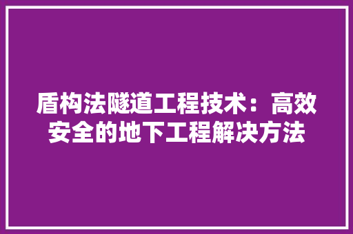 盾构法隧道工程技术：高效安全的地下工程解决方法