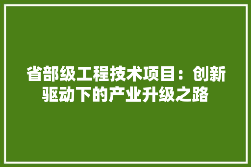 省部级工程技术项目：创新驱动下的产业升级之路