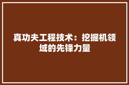 真功夫工程技术：挖掘机领域的先锋力量 室内设计