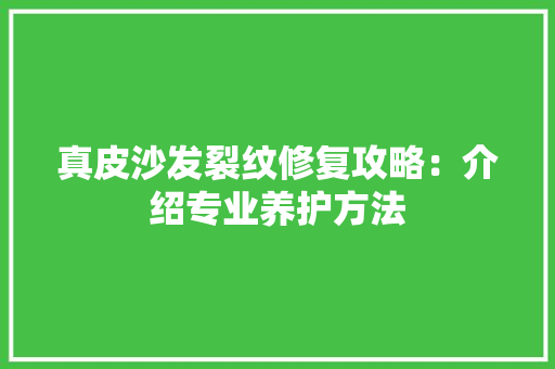 真皮沙发裂纹修复攻略：介绍专业养护方法 室内设计