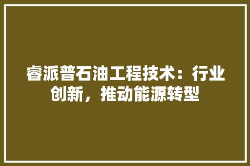 睿派普石油工程技术：行业创新，推动能源转型