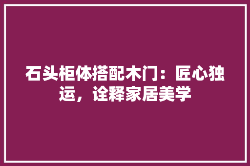 石头柜体搭配木门：匠心独运，诠释家居美学 室内设计
