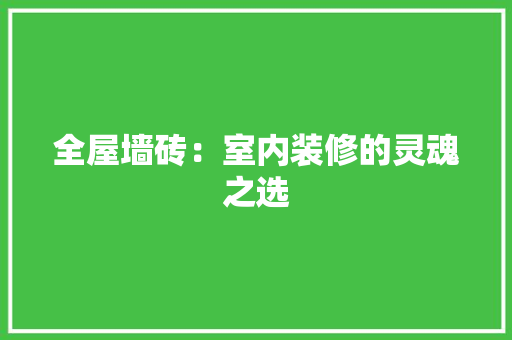 全屋墙砖：室内装修的灵魂之选