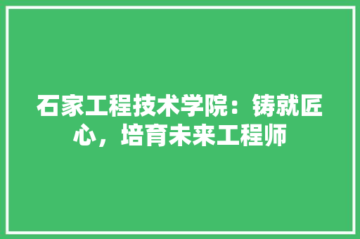 石家工程技术学院：铸就匠心，培育未来工程师 室内设计