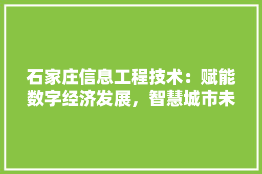 石家庄信息工程技术：赋能数字经济发展，智慧城市未来 室内设计