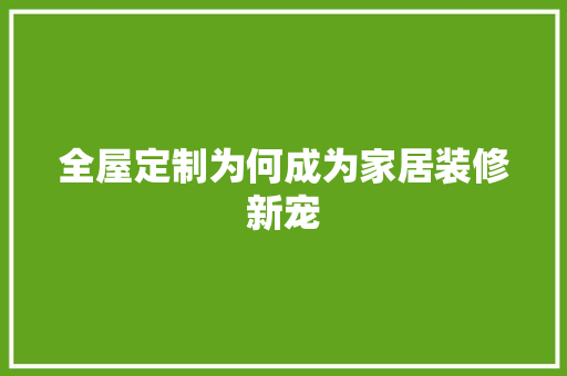 全屋定制为何成为家居装修新宠 家居装修