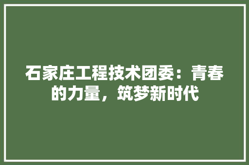 石家庄工程技术团委：青春的力量，筑梦新时代 室内设计