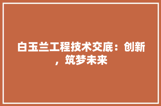 白玉兰工程技术交底：创新，筑梦未来 室内设计