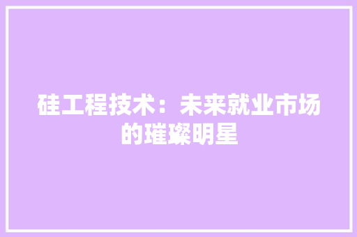 硅工程技术：未来就业市场的璀璨明星 室内设计