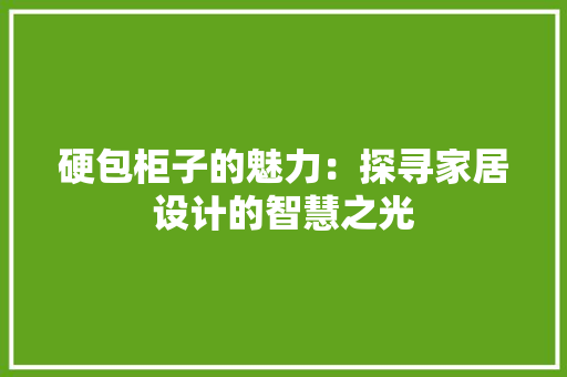 硬包柜子的魅力：探寻家居设计的智慧之光 室内设计