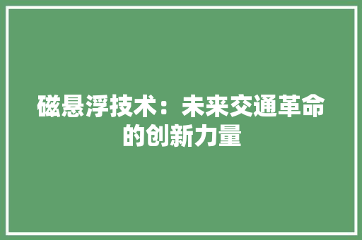 磁悬浮技术：未来交通革命的创新力量 室内设计