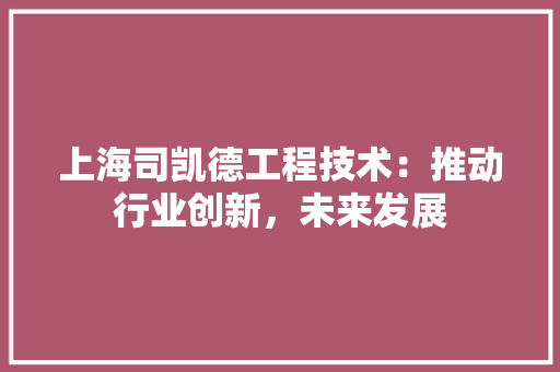 上海司凯德工程技术：推动行业创新，未来发展