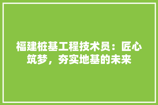 福建桩基工程技术员：匠心筑梦，夯实地基的未来