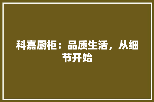 科嘉厨柜：品质生活，从细节开始 室内设计
