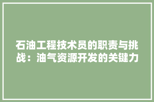 石油工程技术员的职责与挑战：油气资源开发的关键力量 室内设计