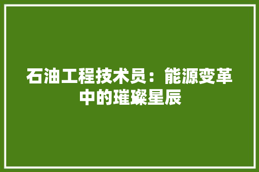 石油工程技术员：能源变革中的璀璨星辰 室内设计