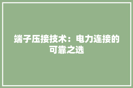 端子压接技术：电力连接的可靠之选 室内设计