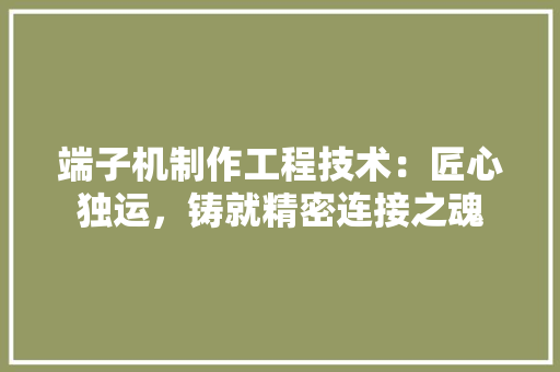 端子机制作工程技术：匠心独运，铸就精密连接之魂 室内设计