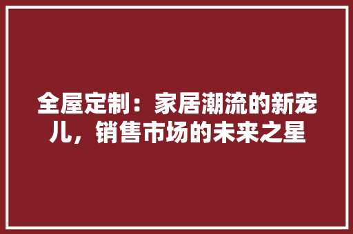 全屋定制：家居潮流的新宠儿，销售市场的未来之星 家居装修