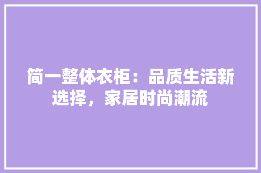 简一整体衣柜：品质生活新选择，家居时尚潮流