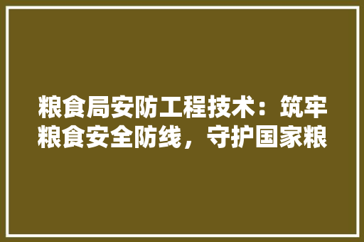 粮食局安防工程技术：筑牢粮食安全防线，守护国家粮食安全 室内设计