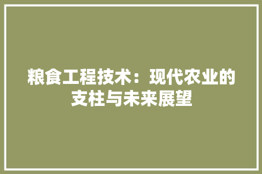 粮食工程技术：现代农业的支柱与未来展望