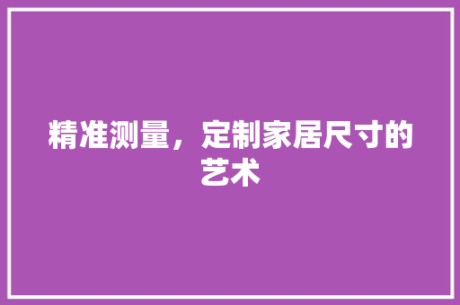 精准测量，定制家居尺寸的艺术 室内设计