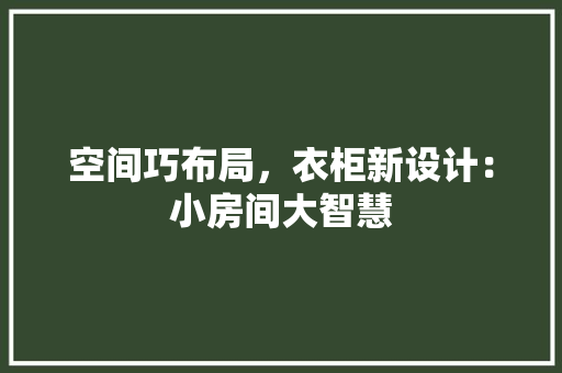 空间巧布局，衣柜新设计：小房间大智慧 室内设计