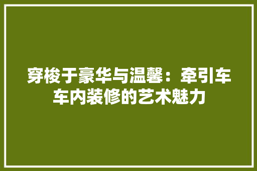 穿梭于豪华与温馨：牵引车车内装修的艺术魅力 室内设计