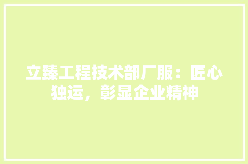 立臻工程技术部厂服：匠心独运，彰显企业精神 室内设计