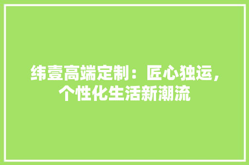纬壹高端定制：匠心独运，个性化生活新潮流 室内设计