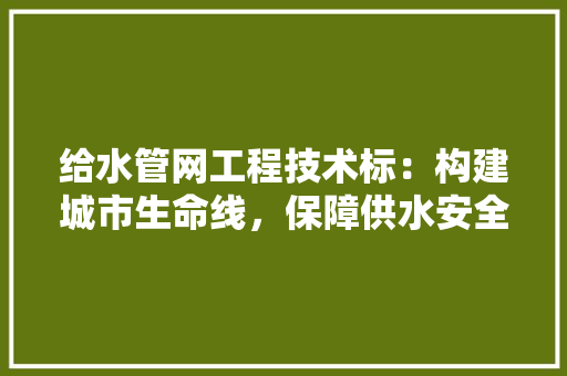 给水管网工程技术标：构建城市生命线，保障供水安全
