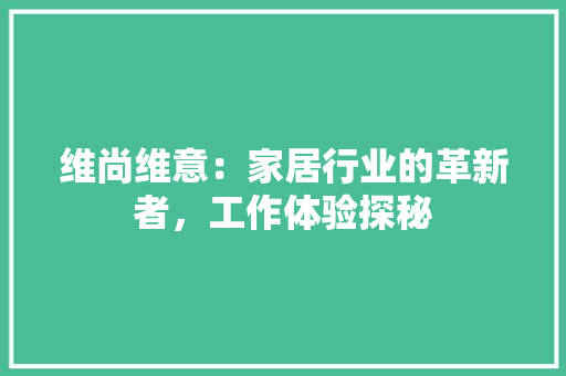 维尚维意：家居行业的革新者，工作体验探秘 室内设计