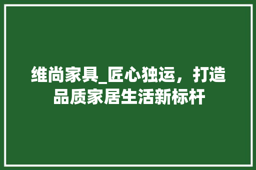 维尚家具_匠心独运，打造品质家居生活新标杆 室内设计