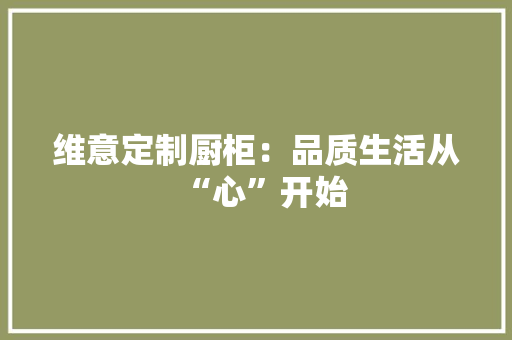 维意定制厨柜：品质生活从“心”开始 室内设计