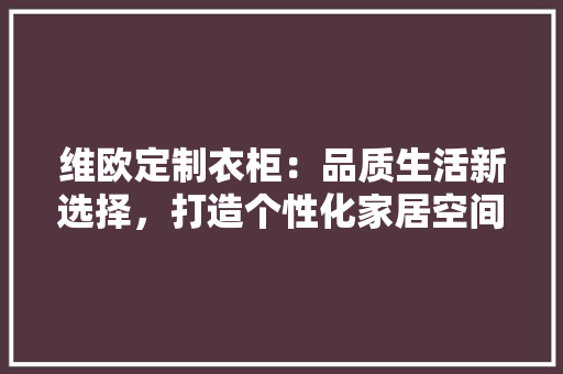 维欧定制衣柜：品质生活新选择，打造个性化家居空间 室内设计