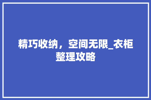 精巧收纳，空间无限_衣柜整理攻略 室内设计