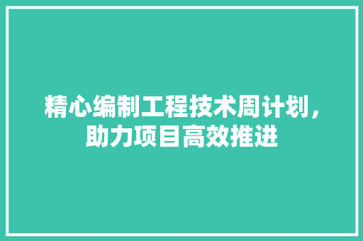 精心编制工程技术周计划，助力项目高效推进