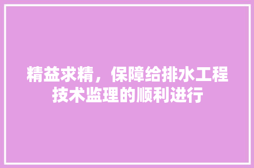 精益求精，保障给排水工程技术监理的顺利进行 室内设计