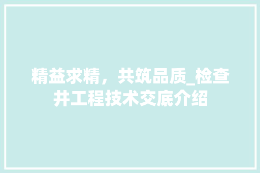 精益求精，共筑品质_检查井工程技术交底介绍