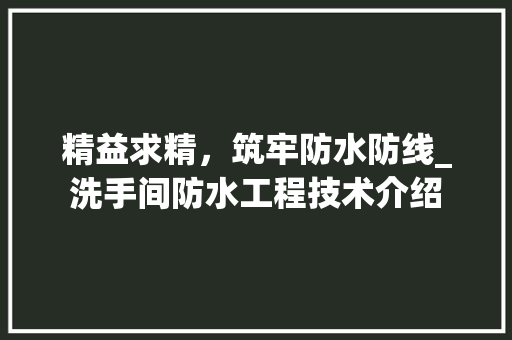 精益求精，筑牢防水防线_洗手间防水工程技术介绍