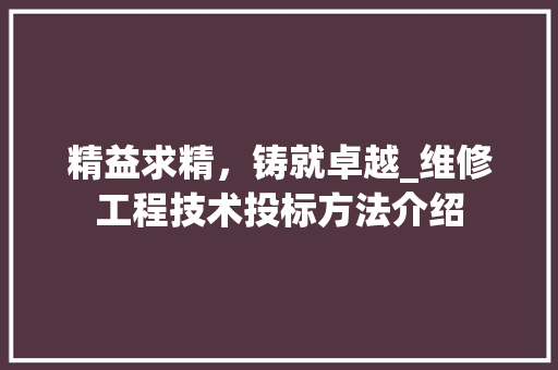 精益求精，铸就卓越_维修工程技术投标方法介绍