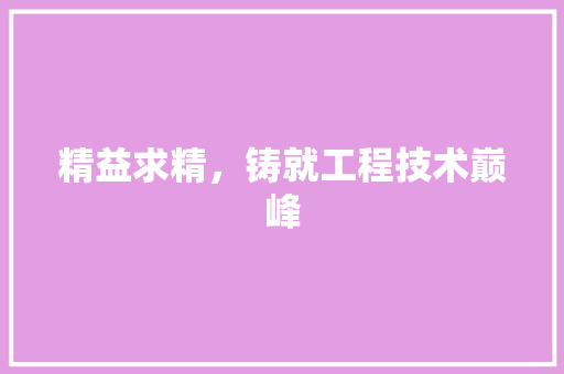 精益求精，铸就工程技术巅峰 室内设计