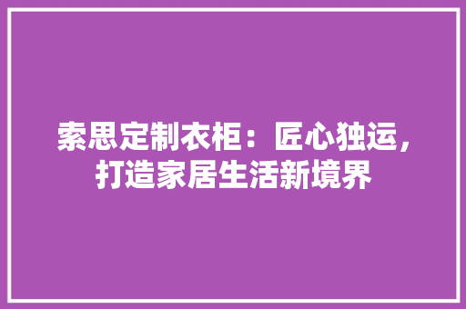 索思定制衣柜：匠心独运，打造家居生活新境界 室内设计