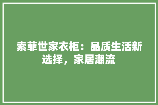 索菲世家衣柜：品质生活新选择，家居潮流 室内设计