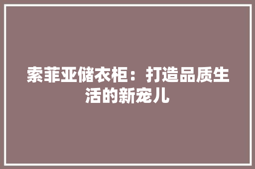 索菲亚储衣柜：打造品质生活的新宠儿 室内设计