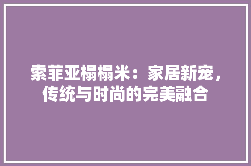 索菲亚榻榻米：家居新宠，传统与时尚的完美融合 室内设计